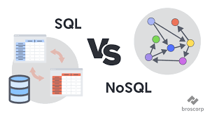 Why Databases Are Important for Businesses: SQL vs NoSQL Explained